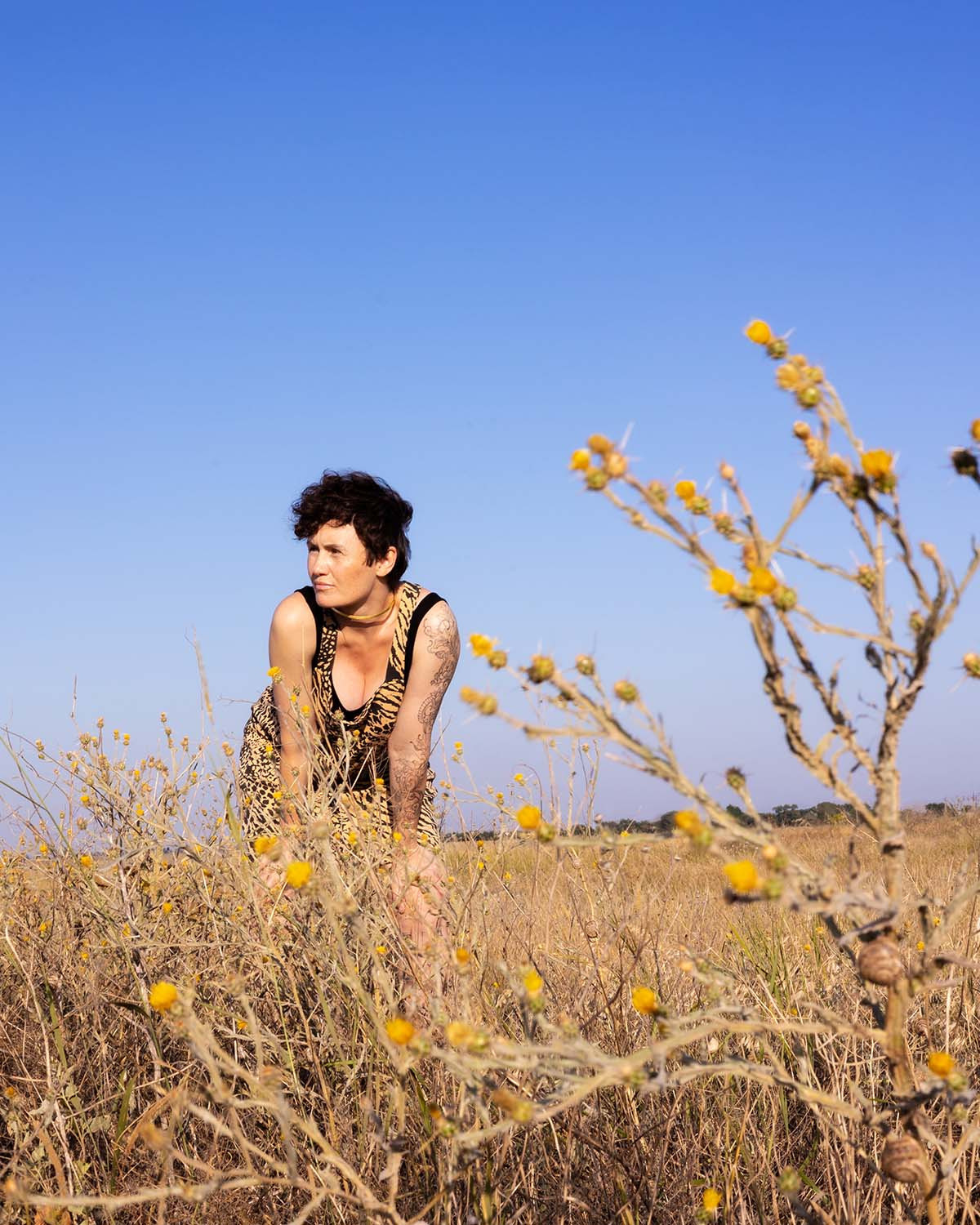 Белладонна на закате. Сказочный фотограф для Вас и Вашей семьи