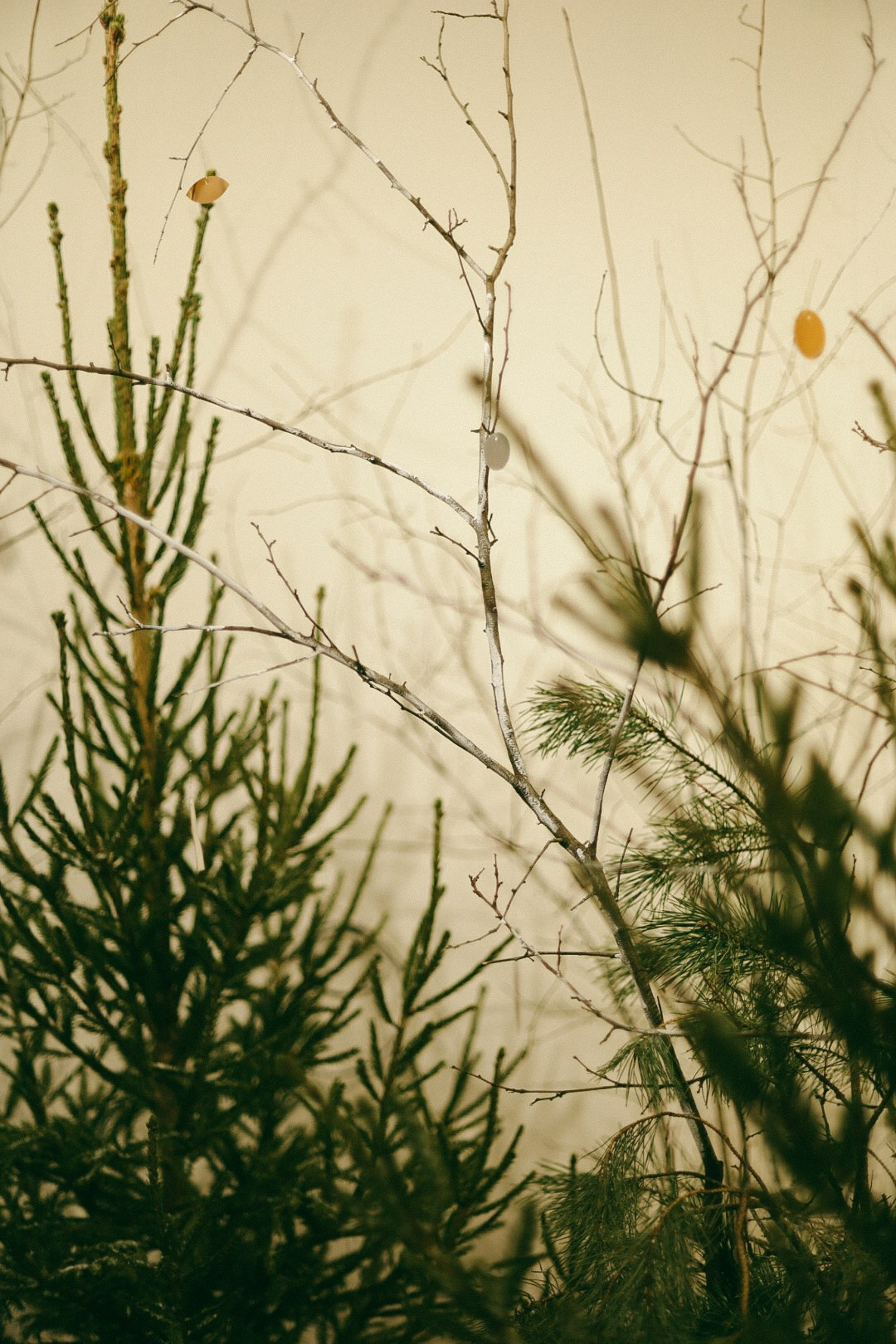 22. Фотограф Нижний Новгород