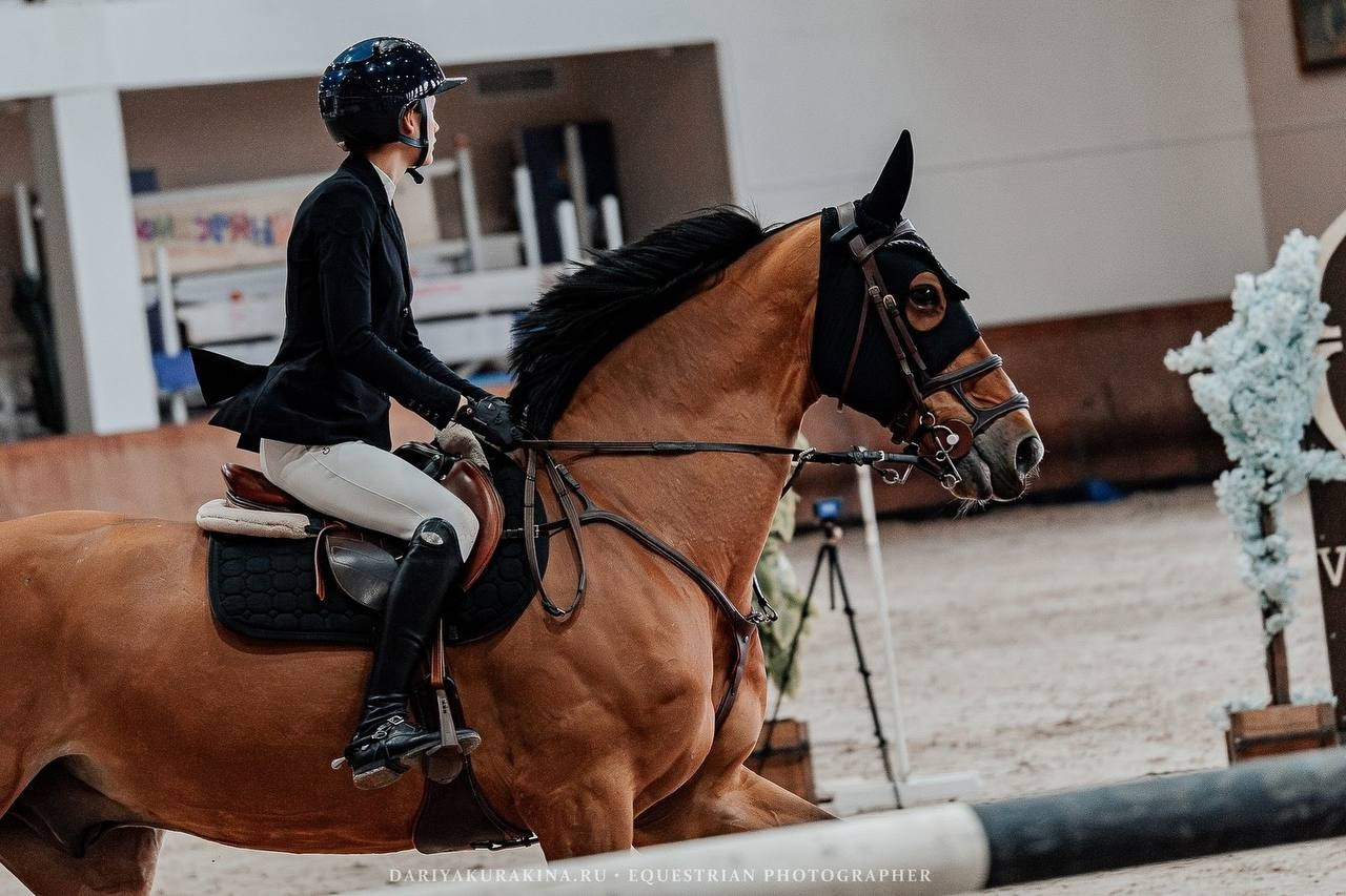 КУБОК МОСКВЫ по КОНКУРУ в КСК «ВИВАТ, РОССИЯ!». Куракина Дарья • Конный фотограф