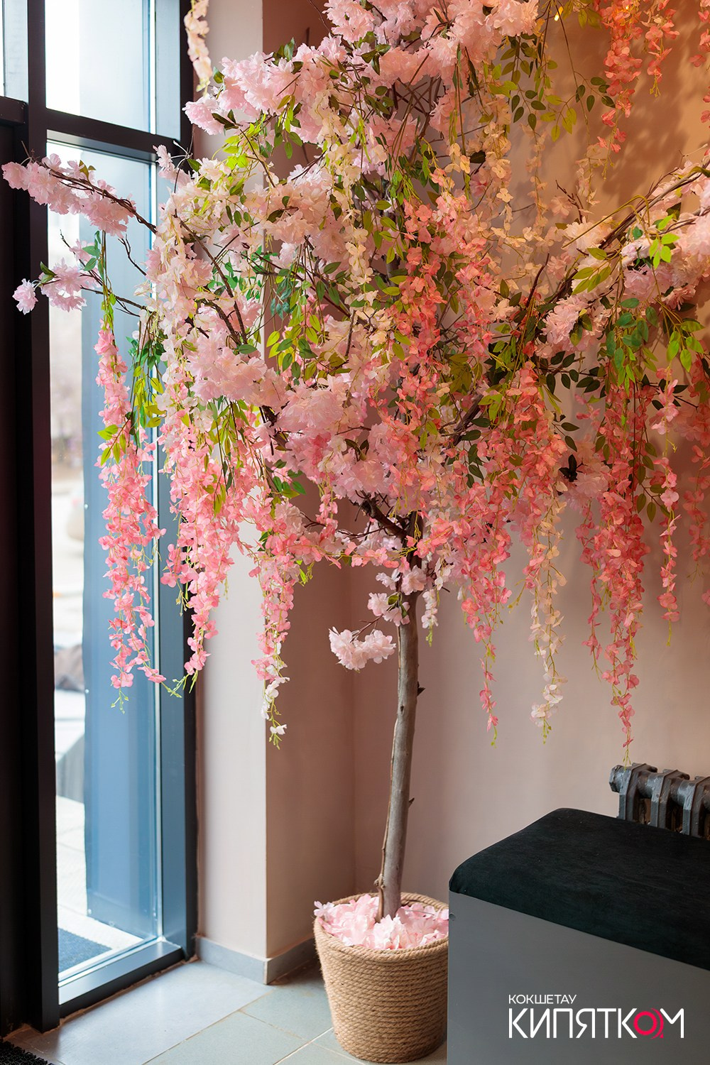 HANAMI ОТКРЫТИЕ. КИПЯТКОМ КОКШЕТАУ