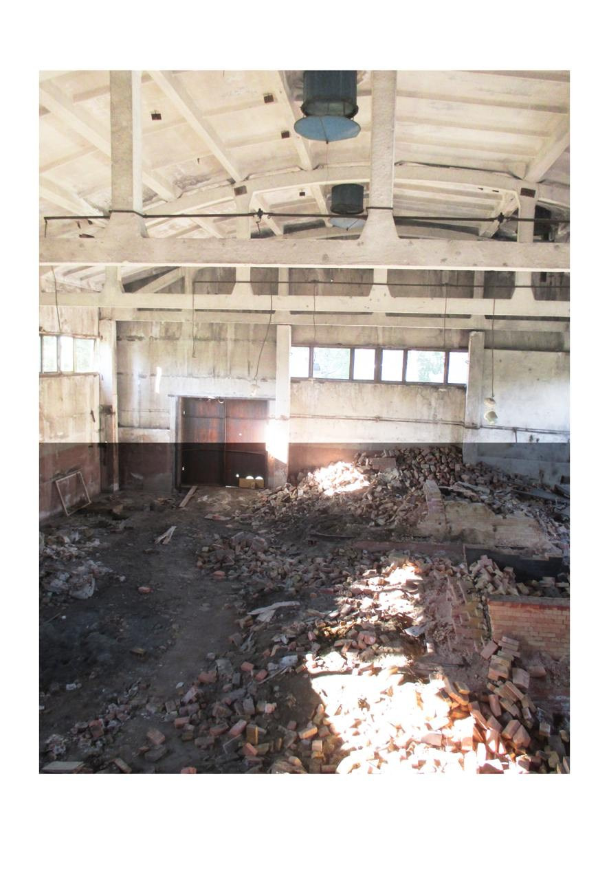 GULF OF FINLAND TRIP' June 2024. Nik Paustovskiy photography