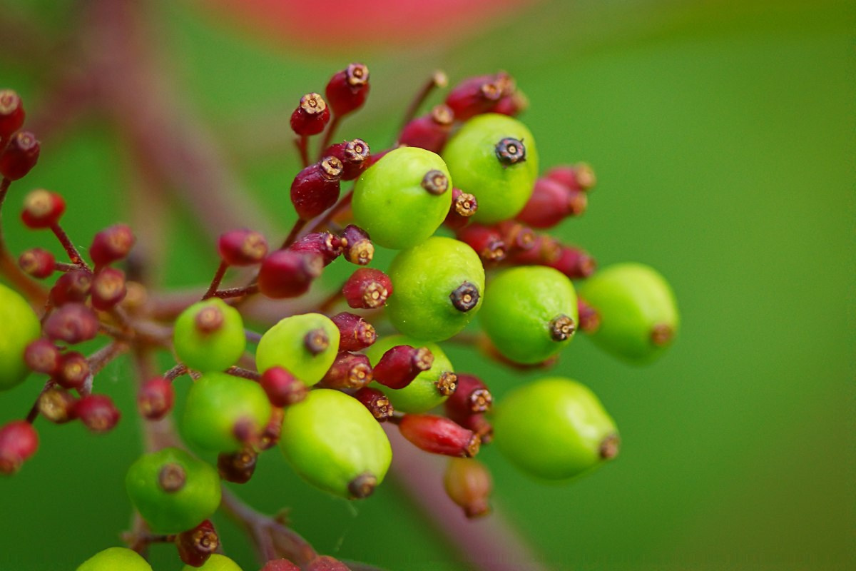 Макро. ZAGLADIN Bureau