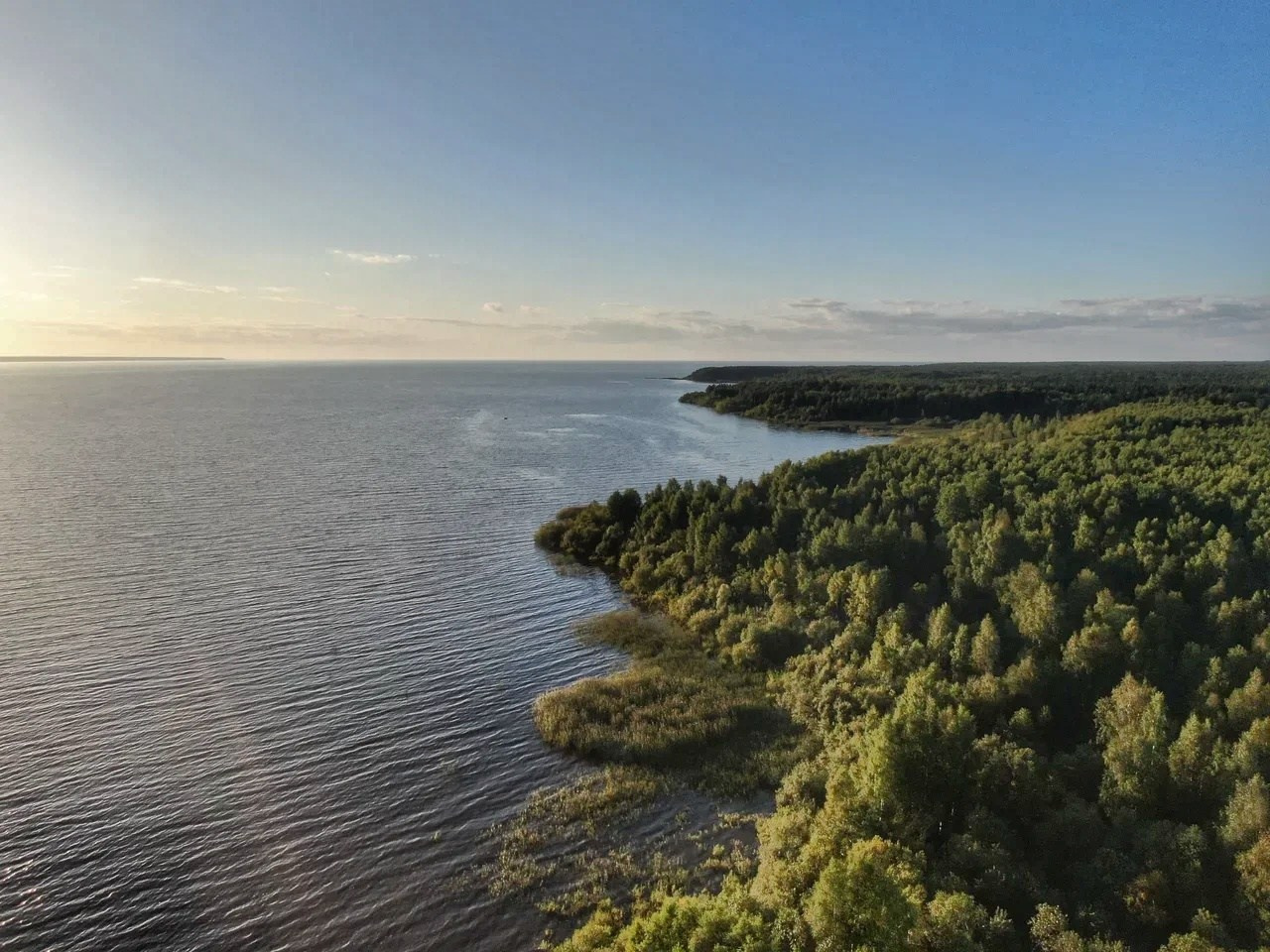 Аэросъёмка (фото). Фото и видеосъёмка в Ярославле | Грибов Медиа контент студия  — от 2500 ₽/час