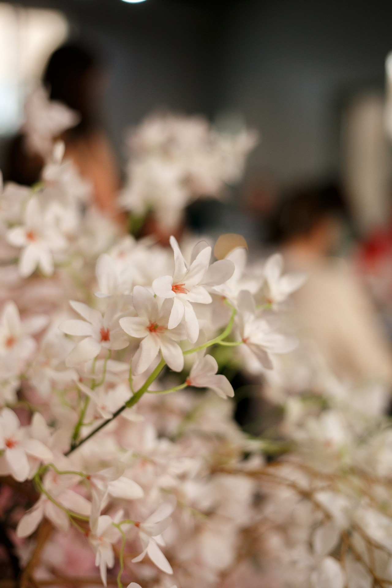 Отзывы. Свадебный и семейный фотограф в Ростове-на-Дону Кирилл Дементьев