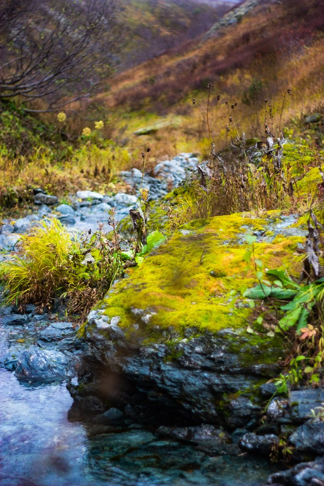 Станция Собь. Фотограф Екатерина Зорина