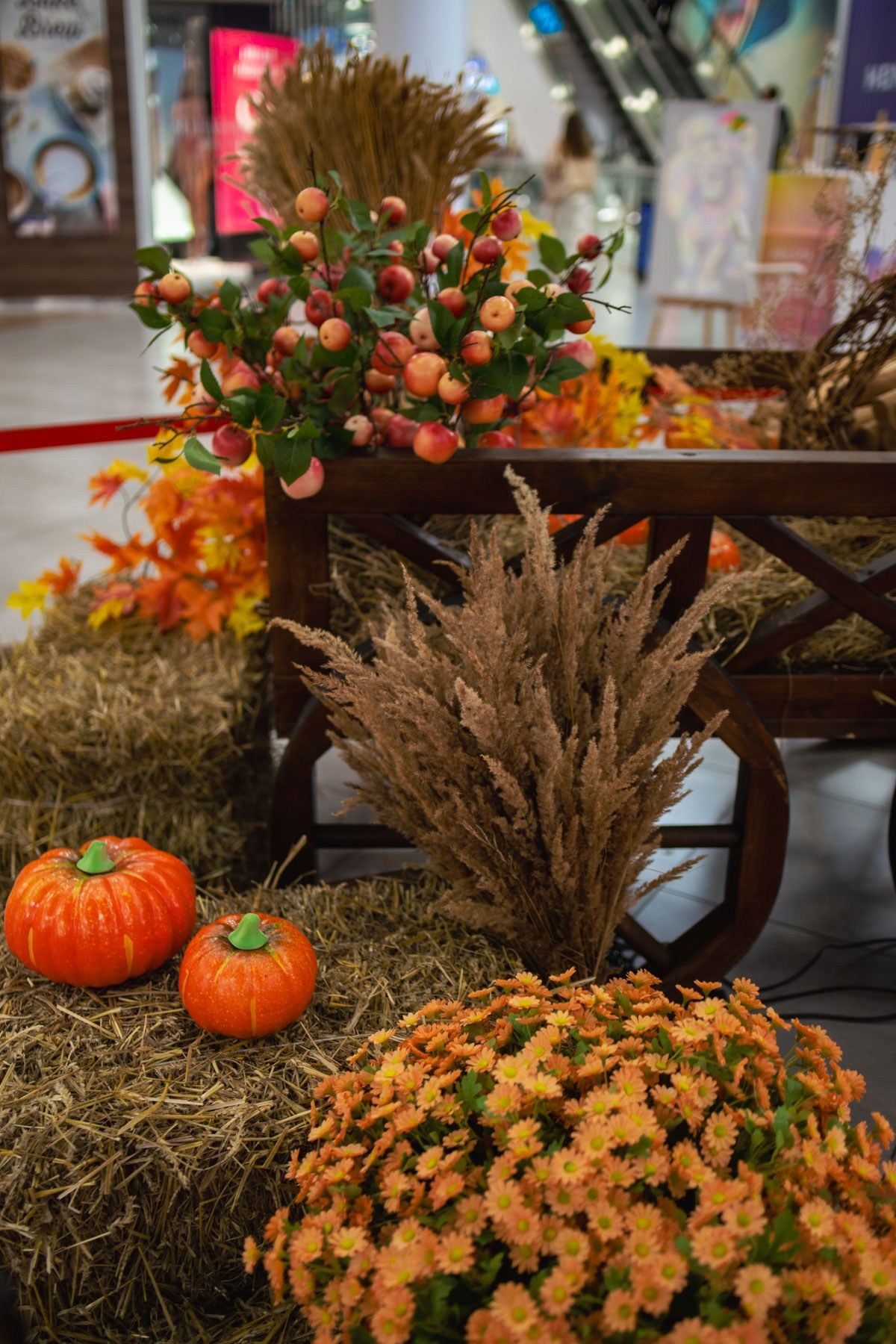 Осеннее чаепитие в ТЦ Хорошо!. Репортажный и концертный фотограф в Москве Анастасия Осень
