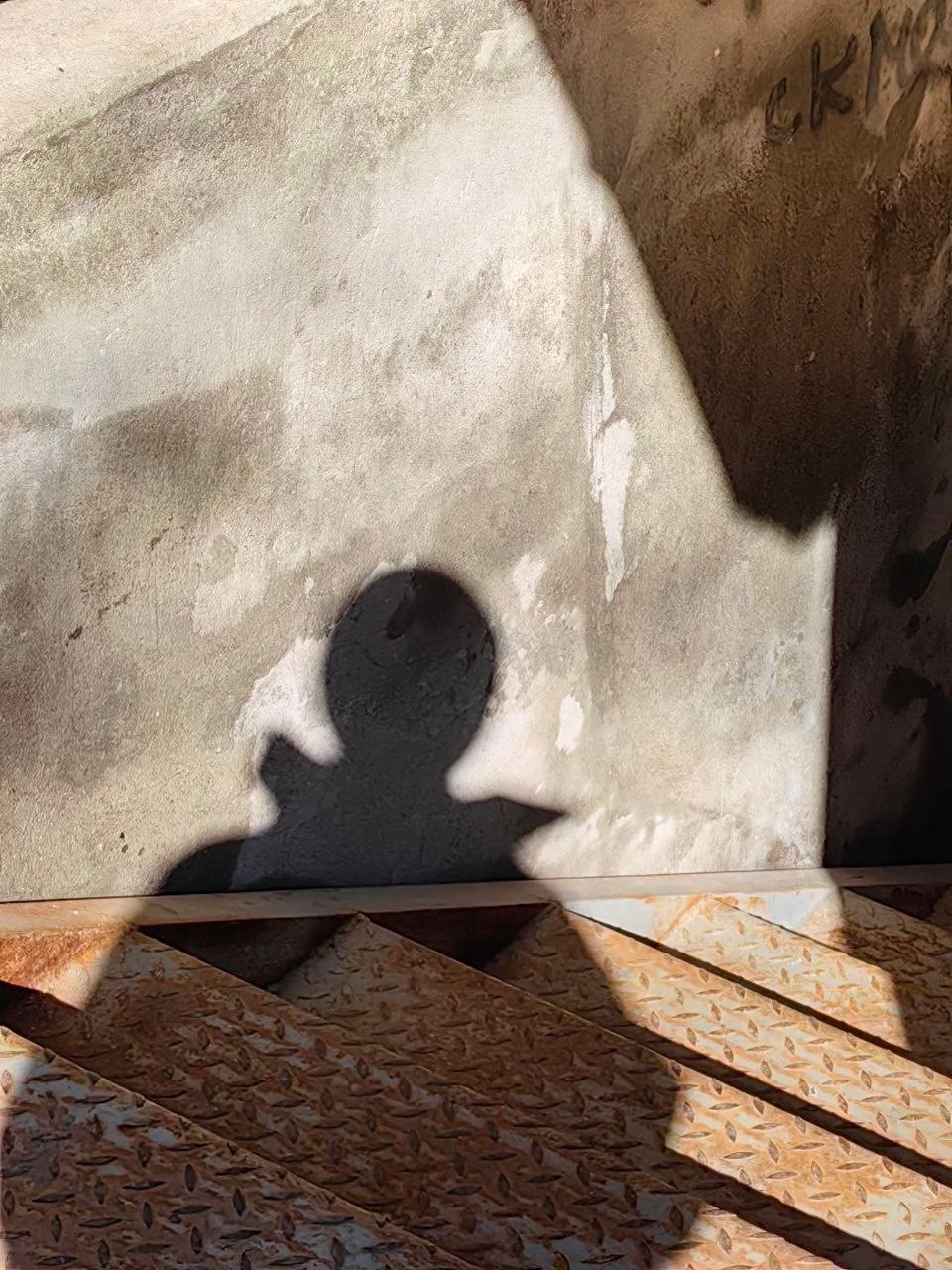 Интенсив. Frantova