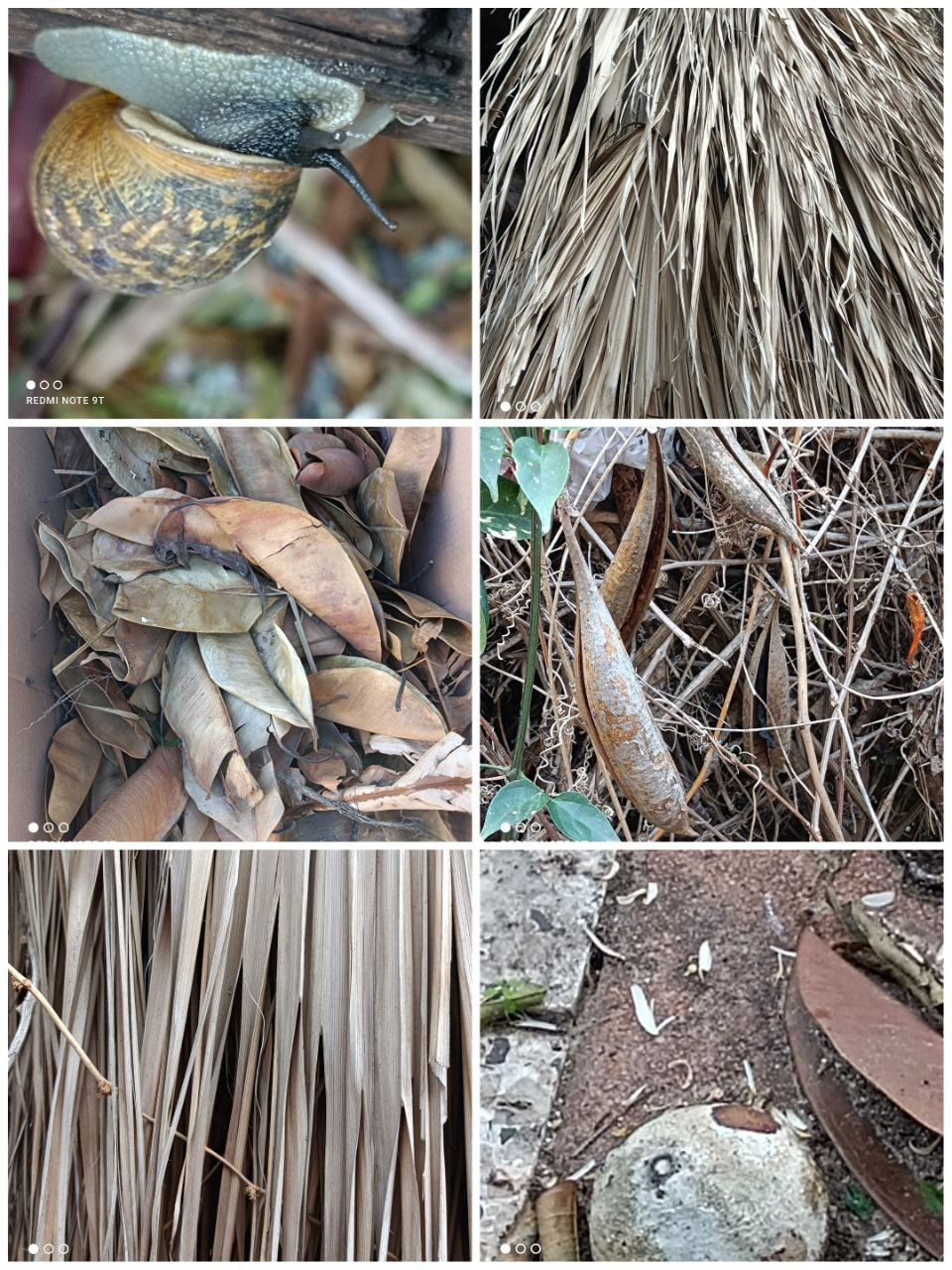 Интенсив. Frantova