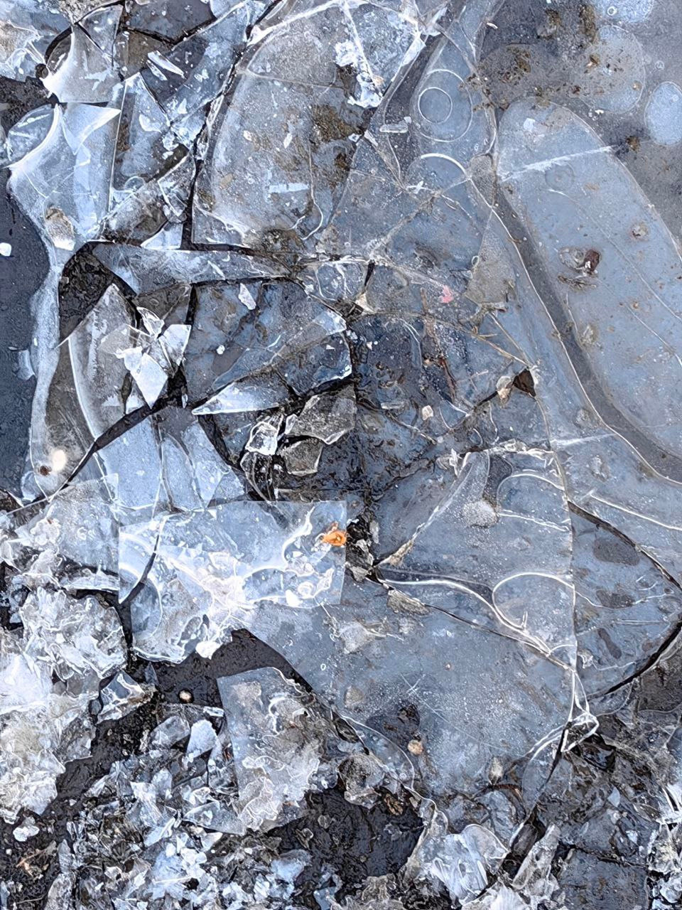 Интенсив. Frantova