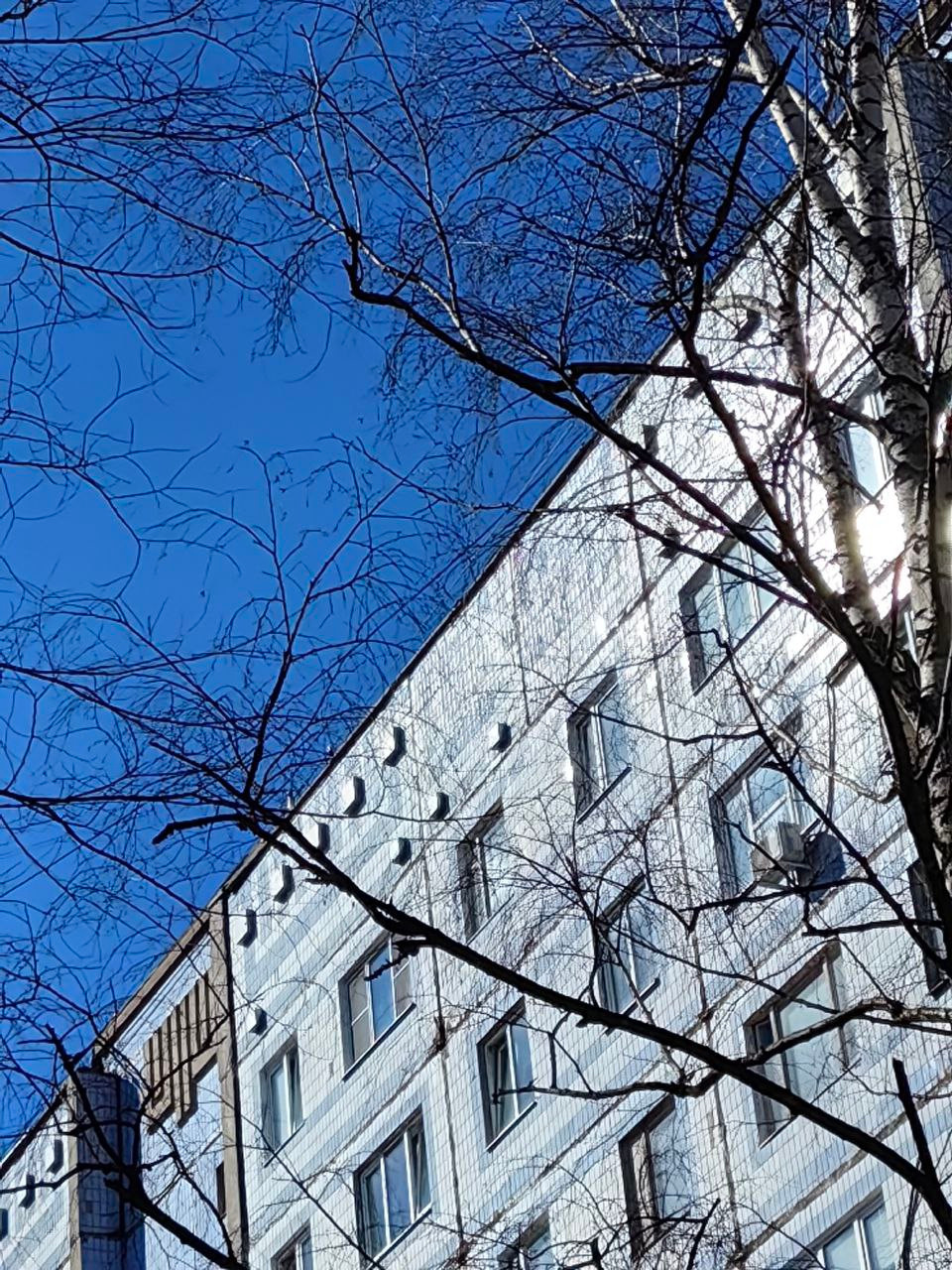 Интенсив. Frantova