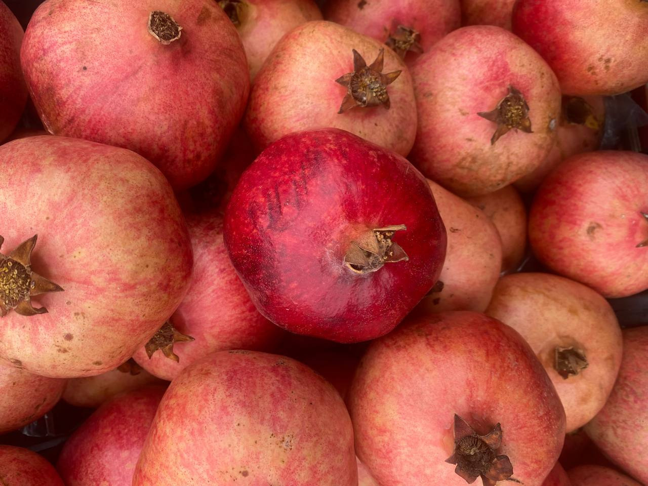 Интенсив. Frantova