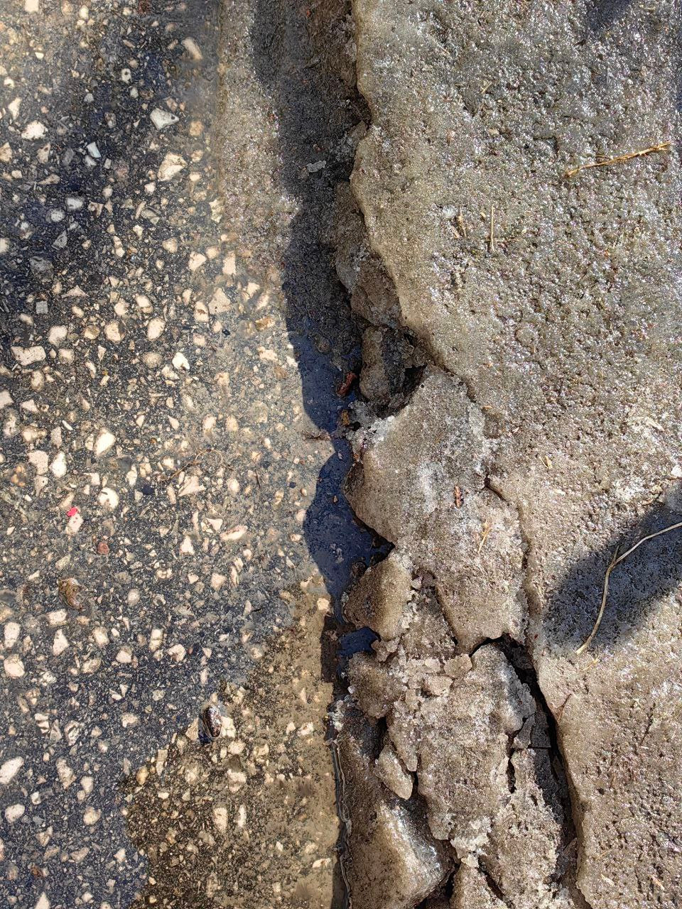 Интенсив. Frantova