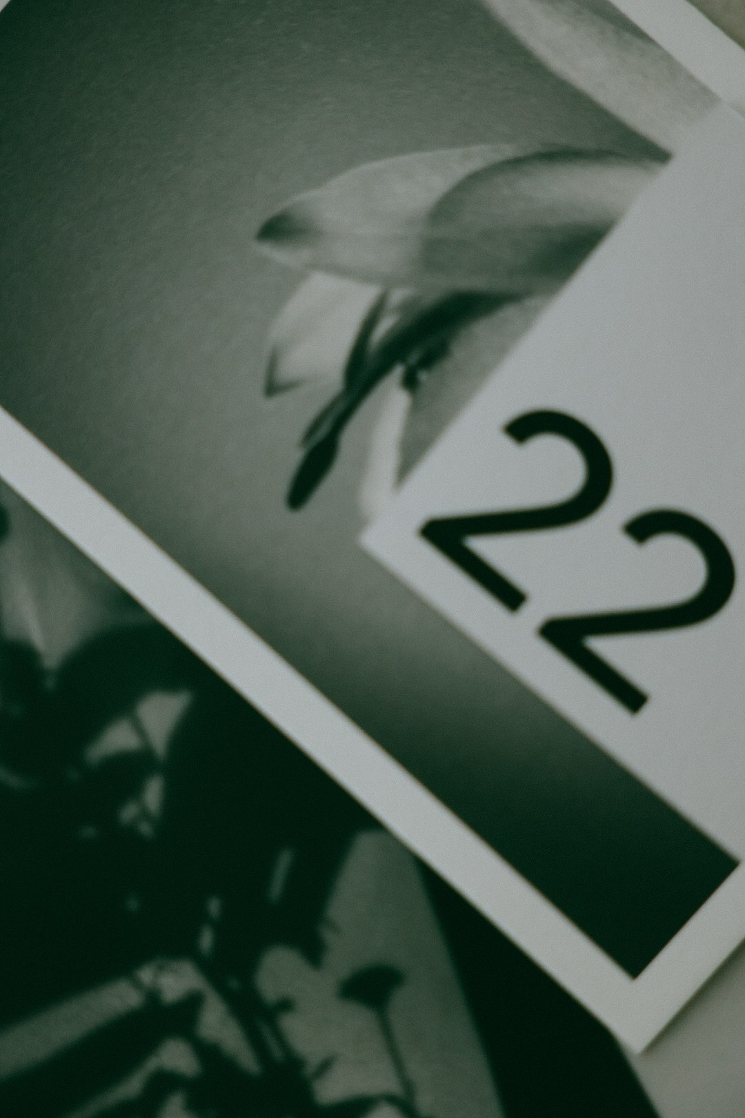 22 zima. Фотограф Нижний Новгород