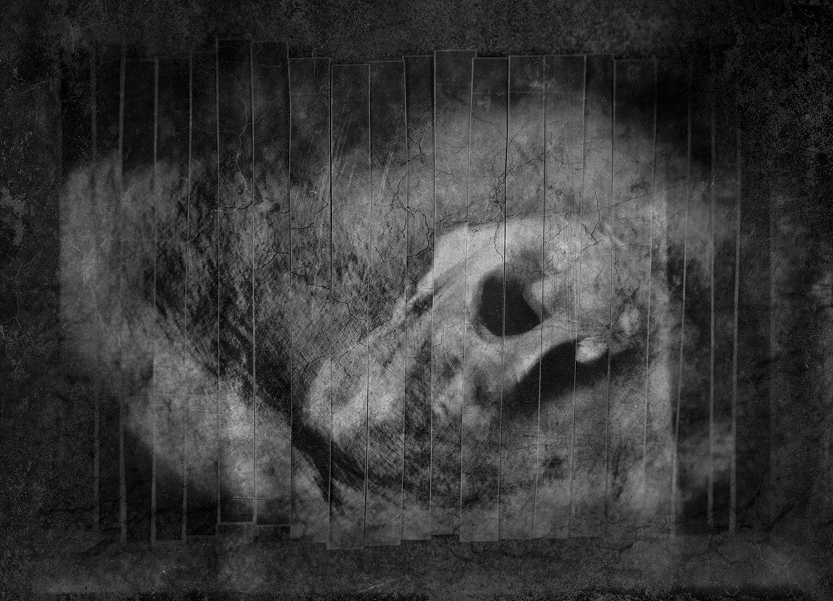 On the Ruins of time. Aleksandr Leshchenok & Marina Ogneva|Interdisciplinary artists from Siberia