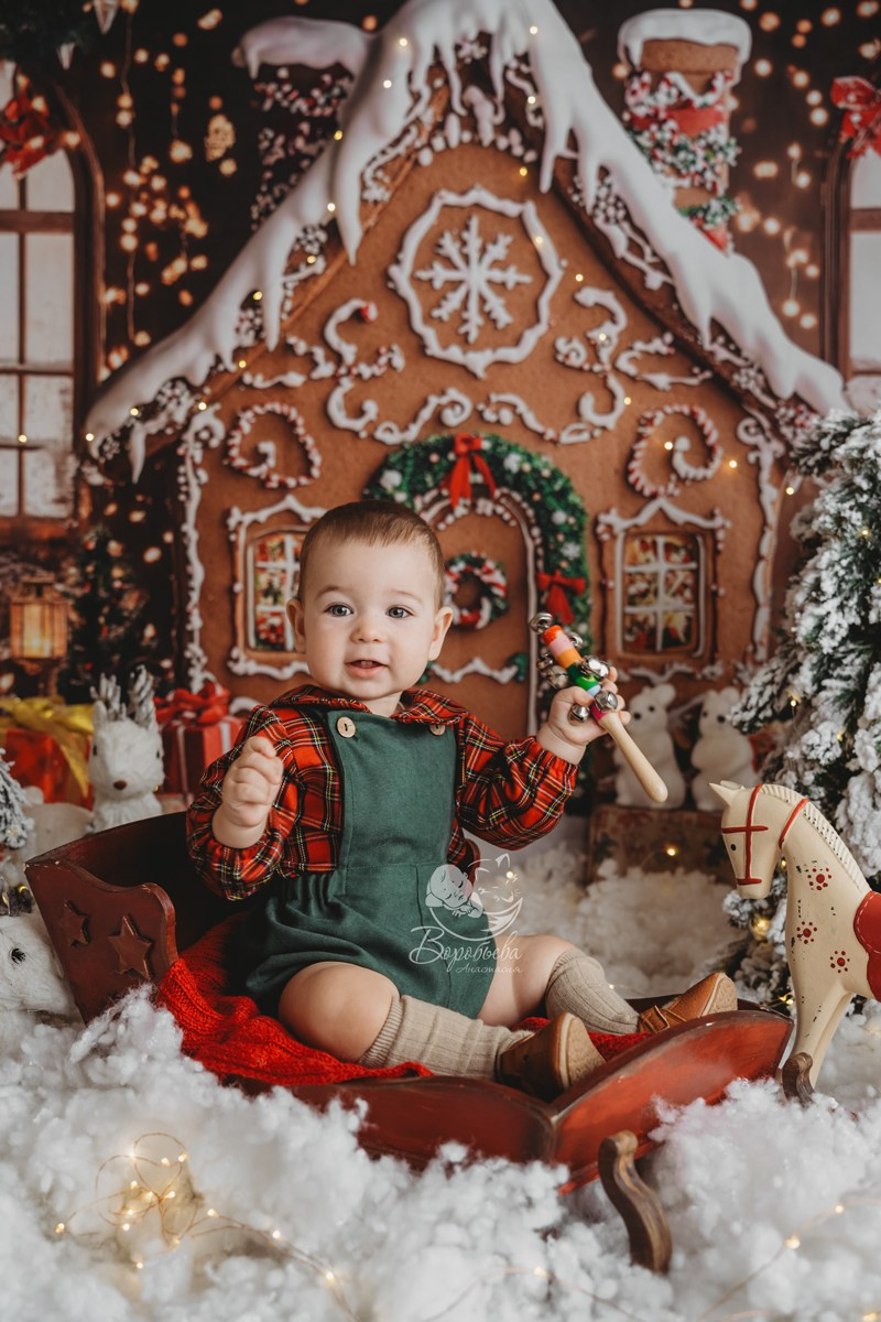 Новый год. Фотограф новорожденных во Владимире Анастасия Воробьева