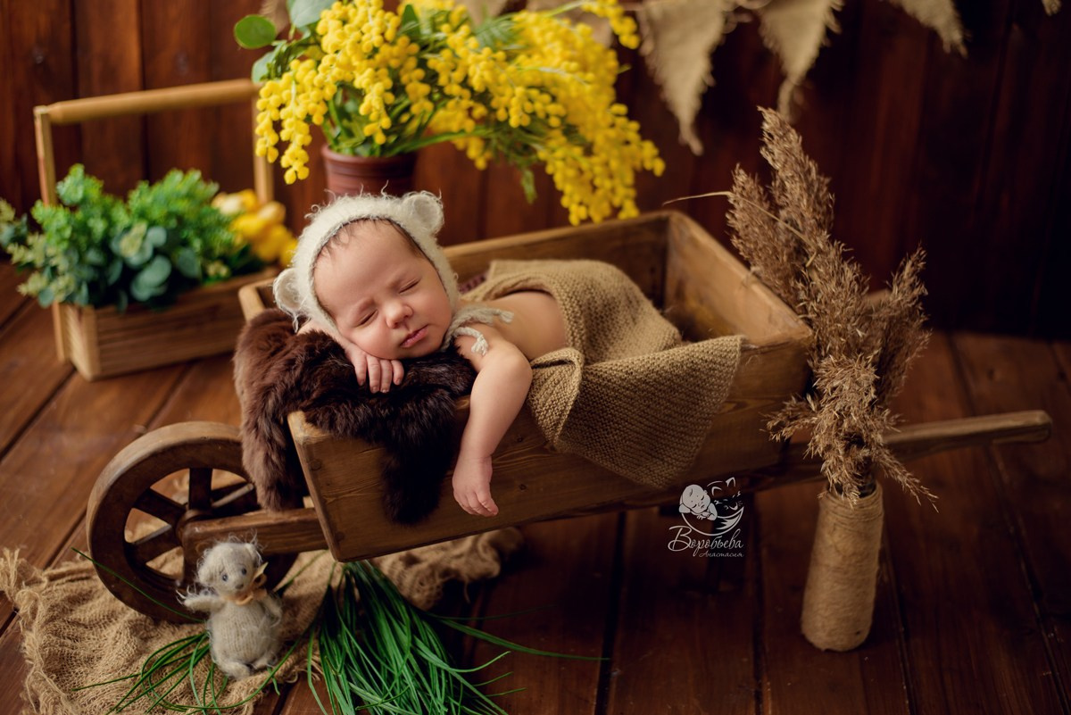 Новорожденные. Фотограф новорожденных во Владимире Анастасия Воробьева