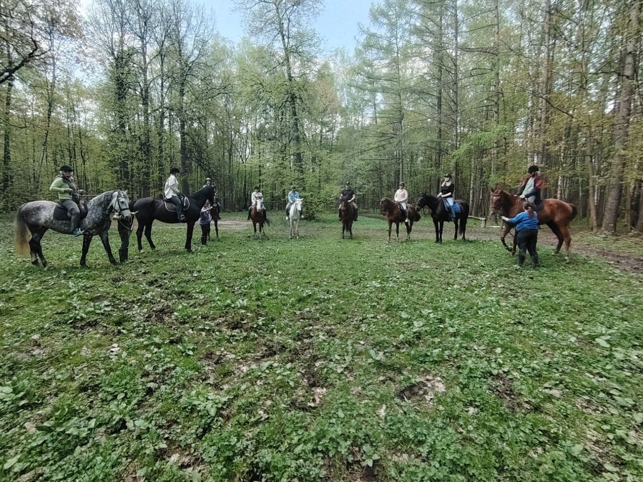 Лошадинг | 30.03.2024. Галерея Фантим