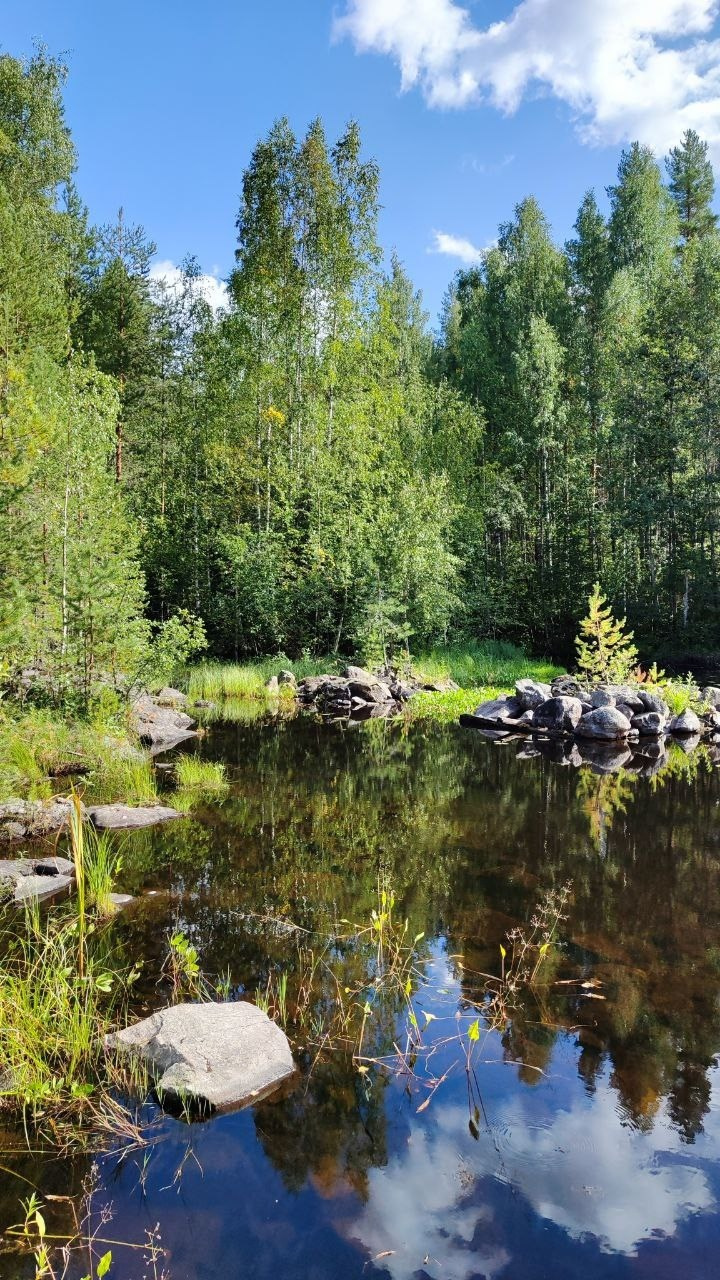 Карелия | 16-18.08.24. Галерея Фантим