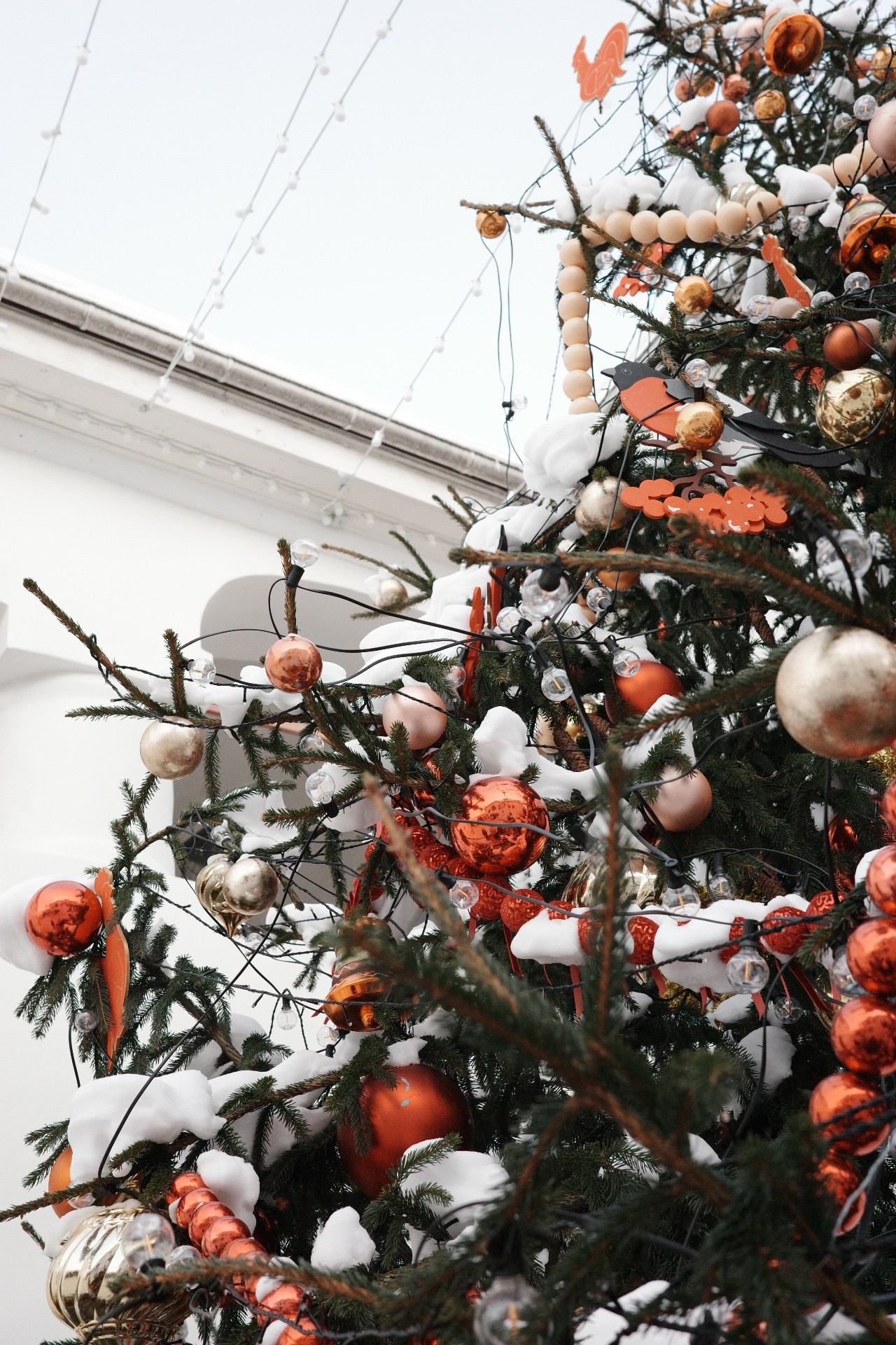 Псков. Фотографъ Сергѣевъ. Поймать мгновеніе