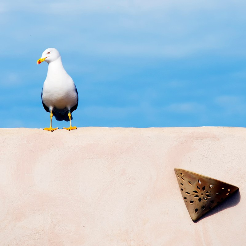 Landscape. Vasiliy Riabovol – Fine Art Photography | Zeit, Raum und Stille