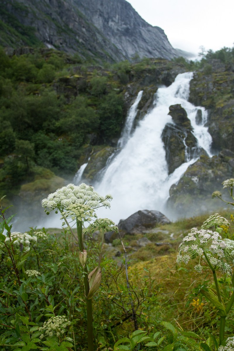 07/17. Норвегия. Walk&Fly with Batay