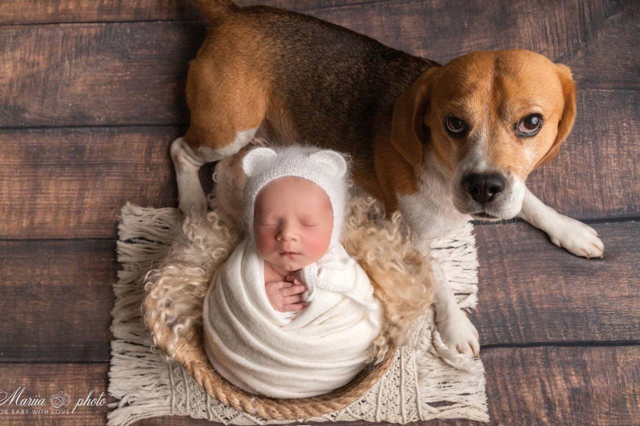 NEWBORN Мальчики. Фотограф новорожденных в Москве и области Мария Самсон