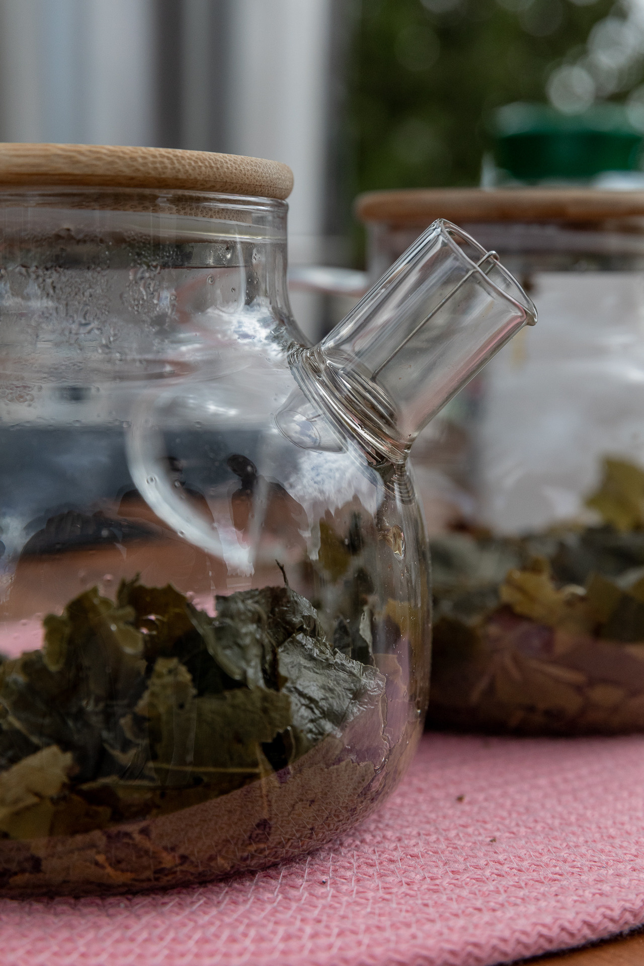 Фестиваль «Культурные связи». Фотограф в Санкт-Петербурге Алена Сертакова