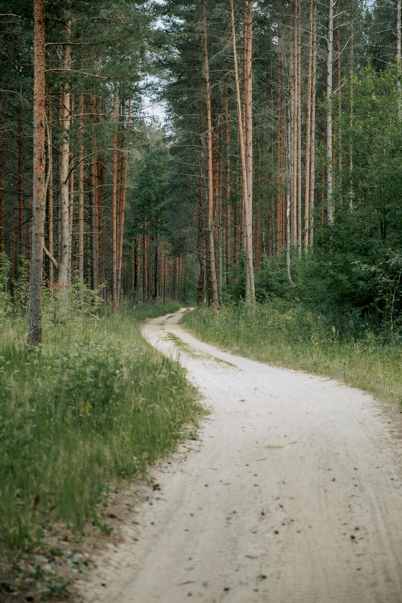 Василий. Фотограф в Санкт-Петербурге Алена Сертакова