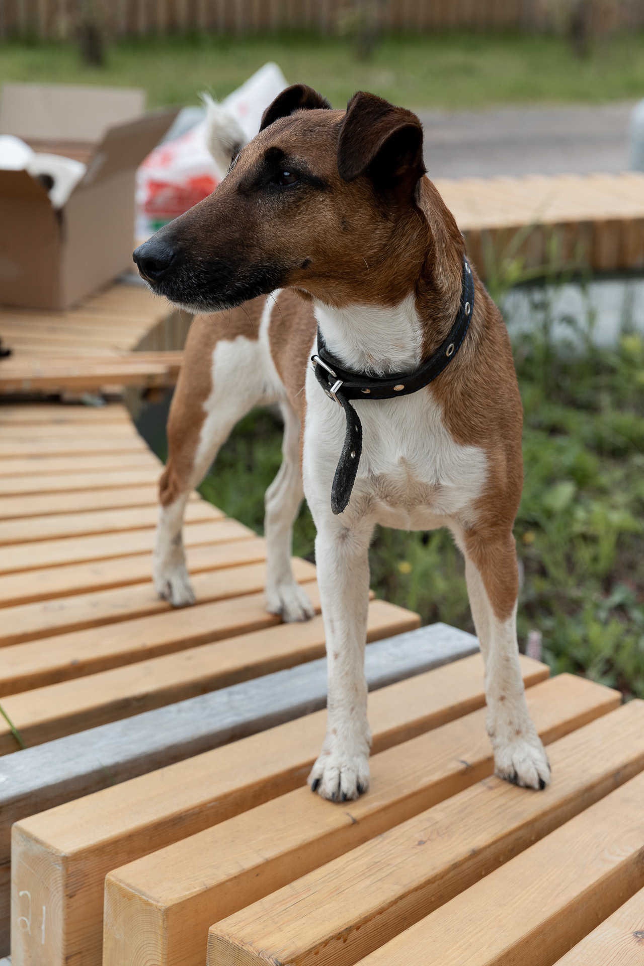 Фестиваль «Культурные связи». Фотограф в Санкт-Петербурге Алена Сертакова