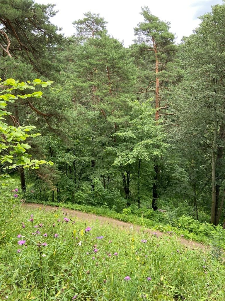 Звенигород | 29.06.2023. Галерея Фантим