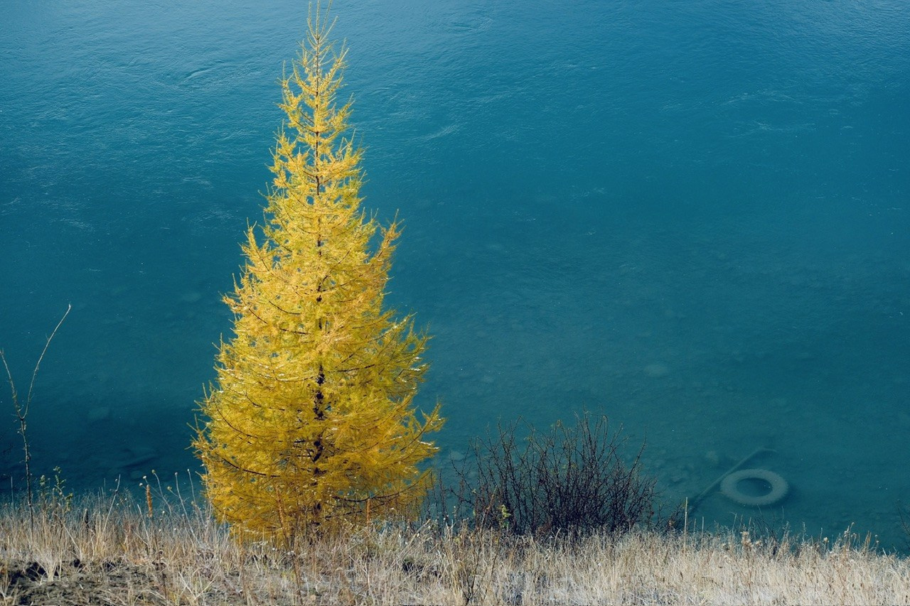 Алтай. Фотограф Евгений Андреев