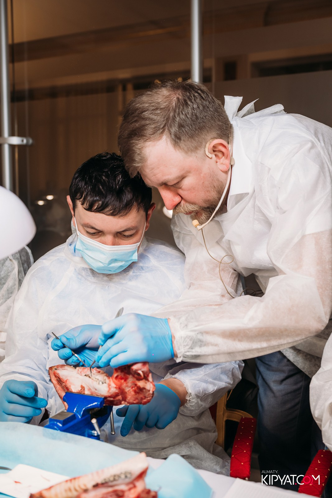 КУРС ДЛЯ СТОМАТОЛОГОВ ОСЛОЖНЕНИЯ В ХИРУРГИЧЕСКОЙ ПРАКТИКЕ КТО ВИНОВАТ И ЧТО ДЕЛАТЬ. КИПЯТКОМ АЛМАТЫ!