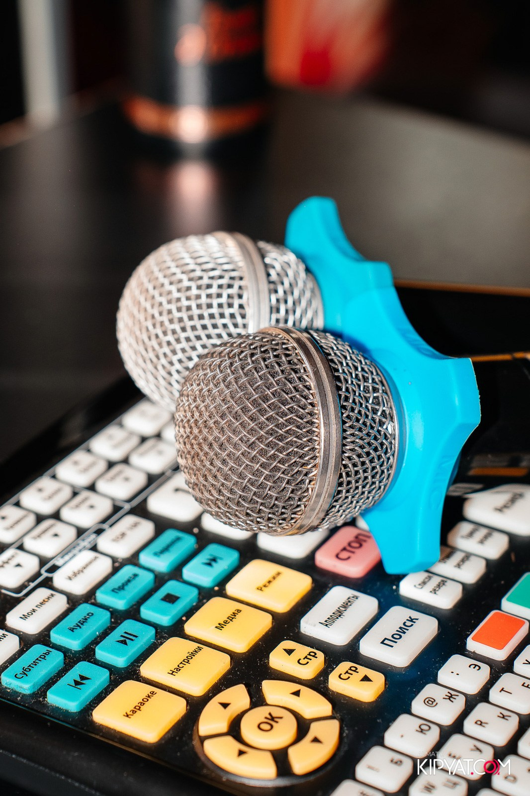 УХО И МЕДВЕДЬ НА САИНА. КИПЯТКОМ АЛМАТЫ!