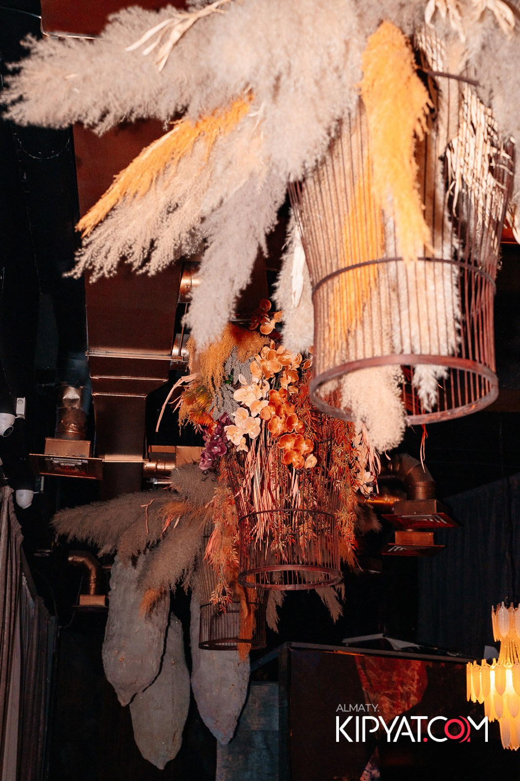 БАР ПАНАЕХАЛИ НА ТОЛЕ БИ. КИПЯТКОМ АЛМАТЫ!