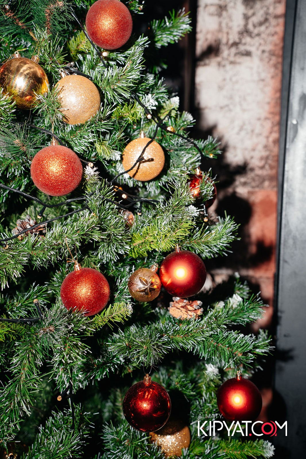 OLOVO НА САТПАЕВА. КИПЯТКОМ АЛМАТЫ!