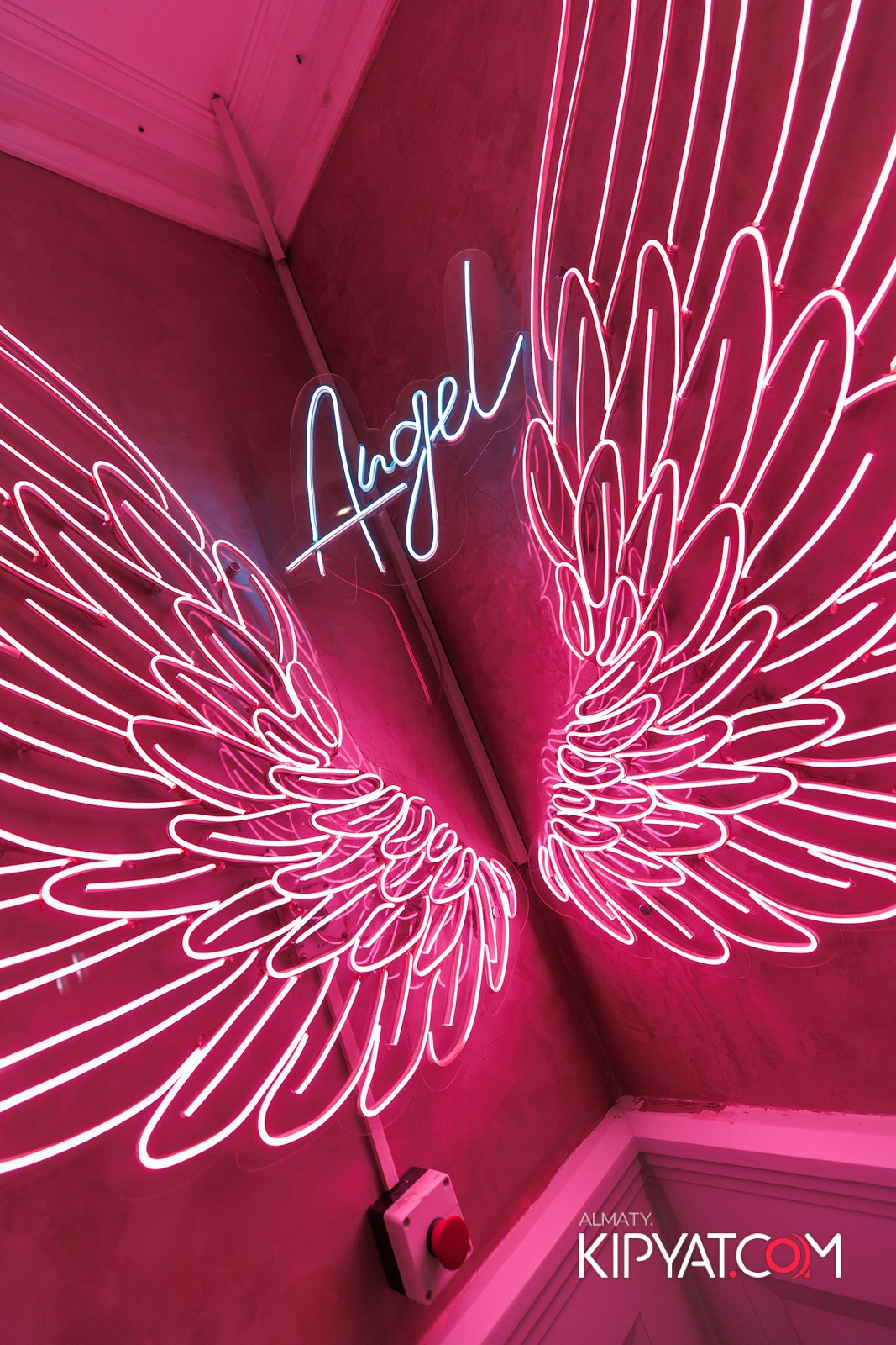 УХО И МЕДВЕДЬ НА КУРМАНГАЗЫ. КИПЯТКОМ АЛМАТЫ!