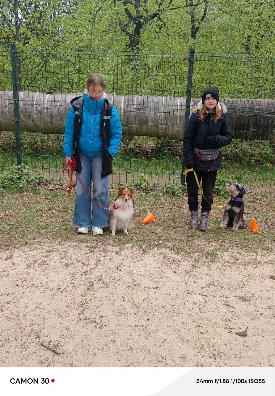 Практические занятия по дрессировке. НРОО КЦ "Собаковод"