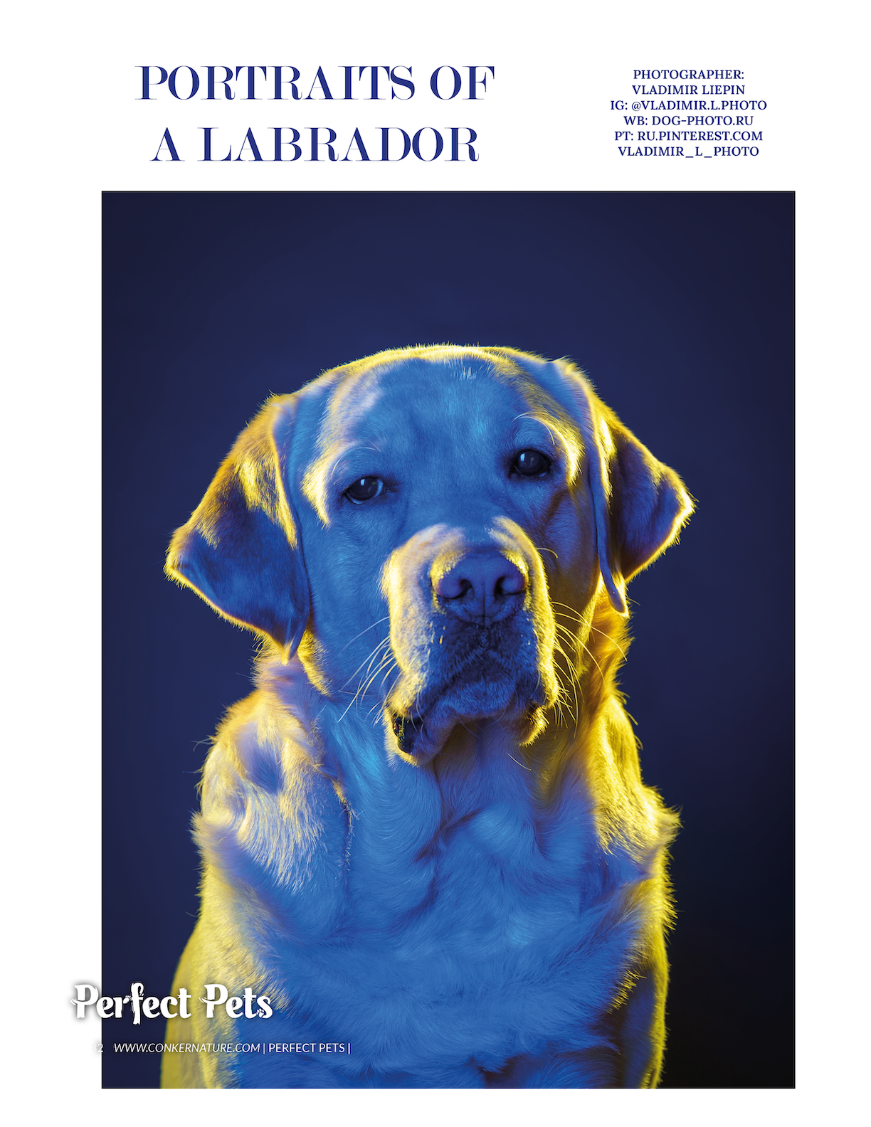 Фотограф анималист в Санкт-Петербурге Владимир Лиепин