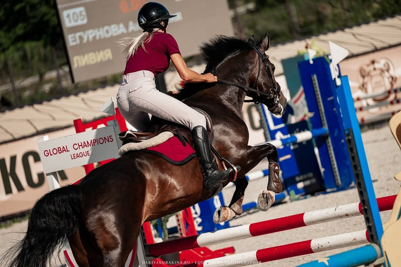 «КОМАНДНЫЙ ДРАЙВ», 3 этап — КСК «ВИВАТ, РОССИЯ!». Куракина Дарья • Конный фотограф