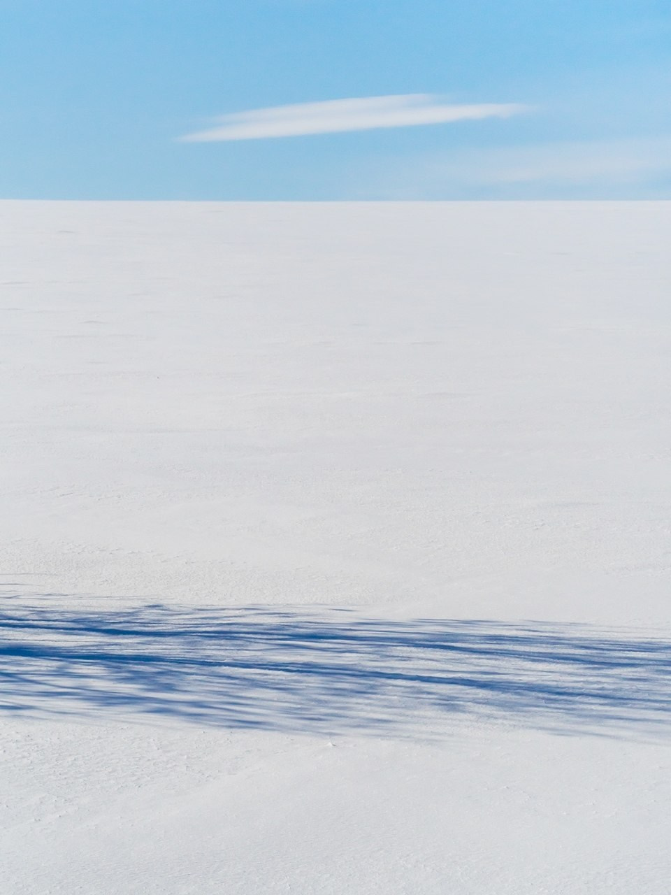 ТОП 20 лучших кадров марта 2026. Репортажный фотограф в Сочи — Михаил Мордасов