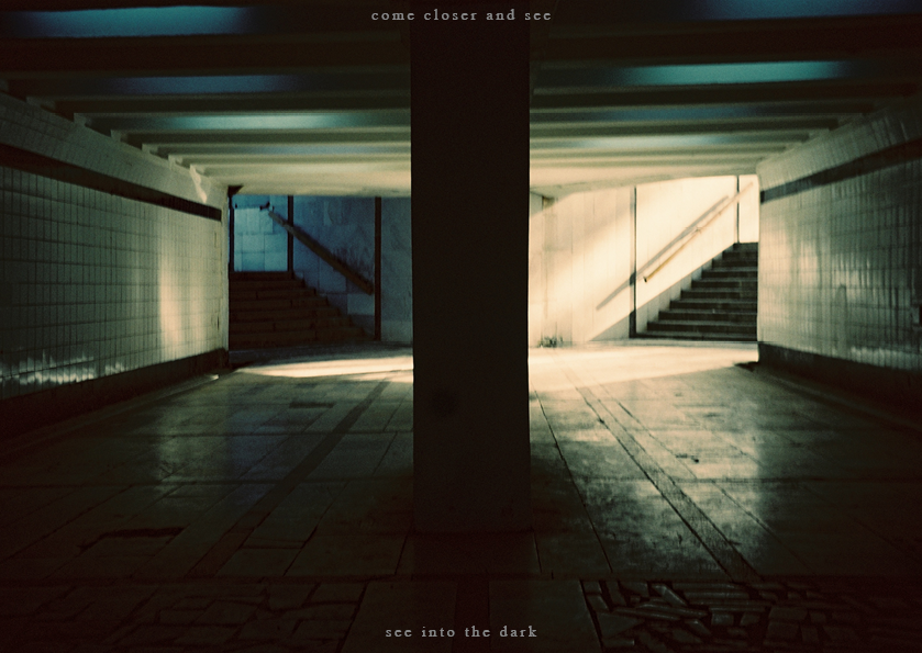 See into the trees — zine. Pictorial dream — fine art fil photography by Yaroslav Pavlov