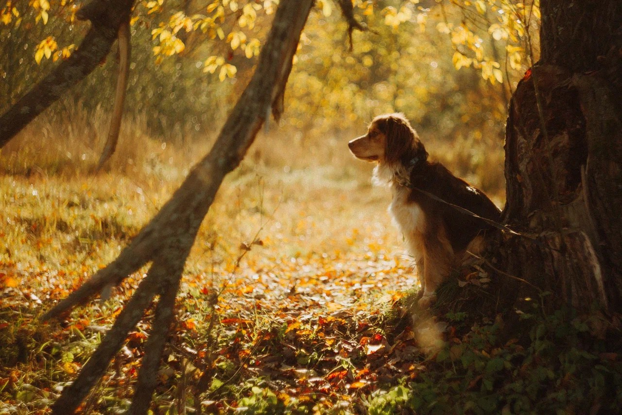 Полушкинские каменоломни. Ваш портретный фотограф в Москве Катя Прокофьева