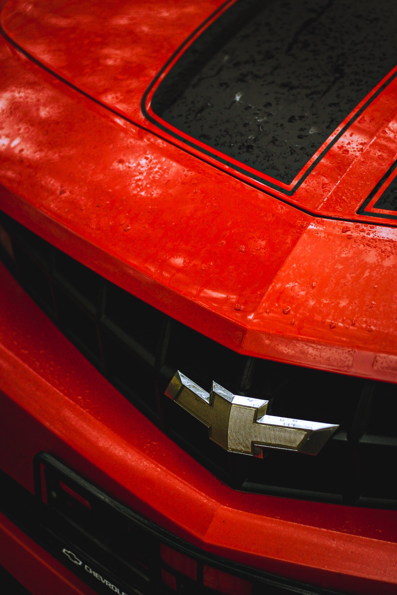 Cars. Фотограф Ксюша Костюченко