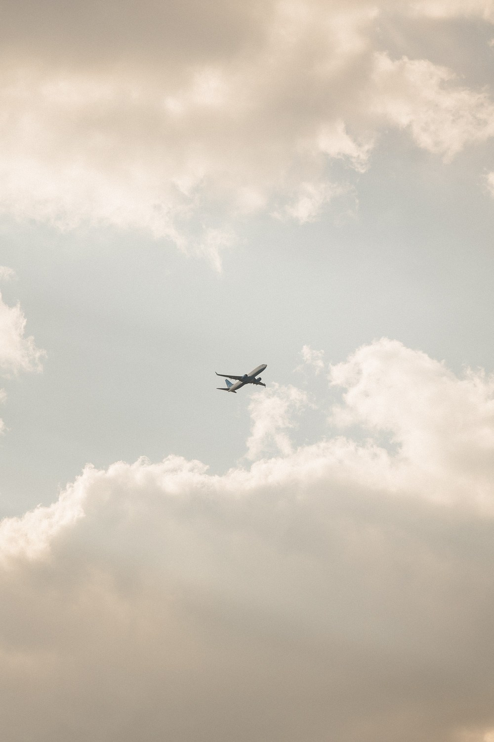 Ever Near. Свадебный фотограф Москва