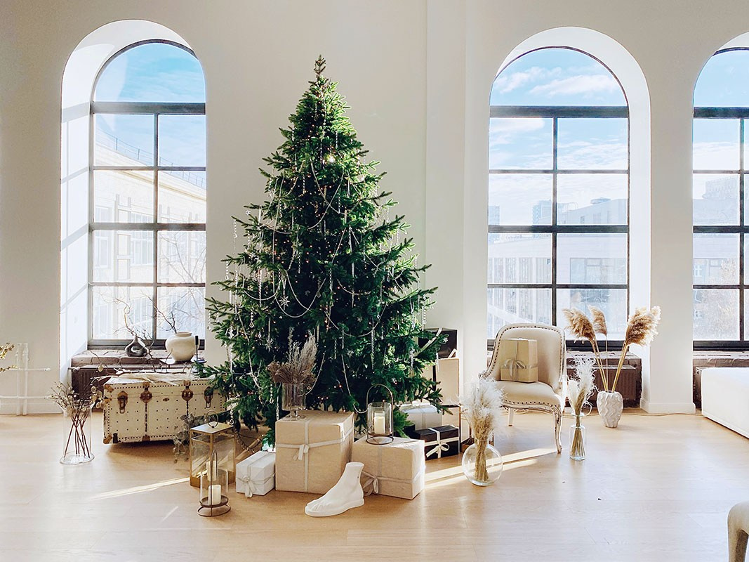 Где сделать красивую новогоднюю фотосессию в Москве, Мой личный рейтинг студий для праздничных съёмок, Фотостудии с атмосферой уюта и волшебства, Необычные локации для креативных новогодних кадров, Как выбрать студию под ваш стиль и настроение, новогодняя фотосессия в Москве, фотостудия для новогодней съёмки, лучшие фотостудии Москвы, новогодние фотостудии Москва, где сделать новогодние фото, фотостудии для бренд-съёмки, фотосессия в новогодней студии, идеи для новогодней фотосессии, бренд-фотограф Москва, фотосессия в студии Москва, rina_sphoto, Катерина Сысуева, Рина Сысуева, фотограф в Москве, бренд-фотограф для экспертов, Prostanstvo