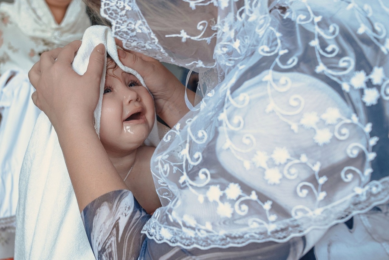 Отзывы о фотографии Шаховская