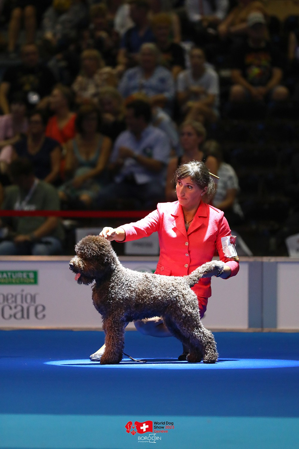 24-27.08.2023 WDS Geneva. Фотограф Дмитрий Бородин