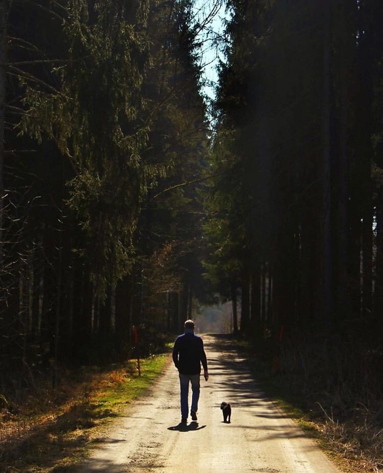 Работы учеников курса по фотографии. Наталья Рапопорт. Онлайн-курсы по фотографии и съемке видео