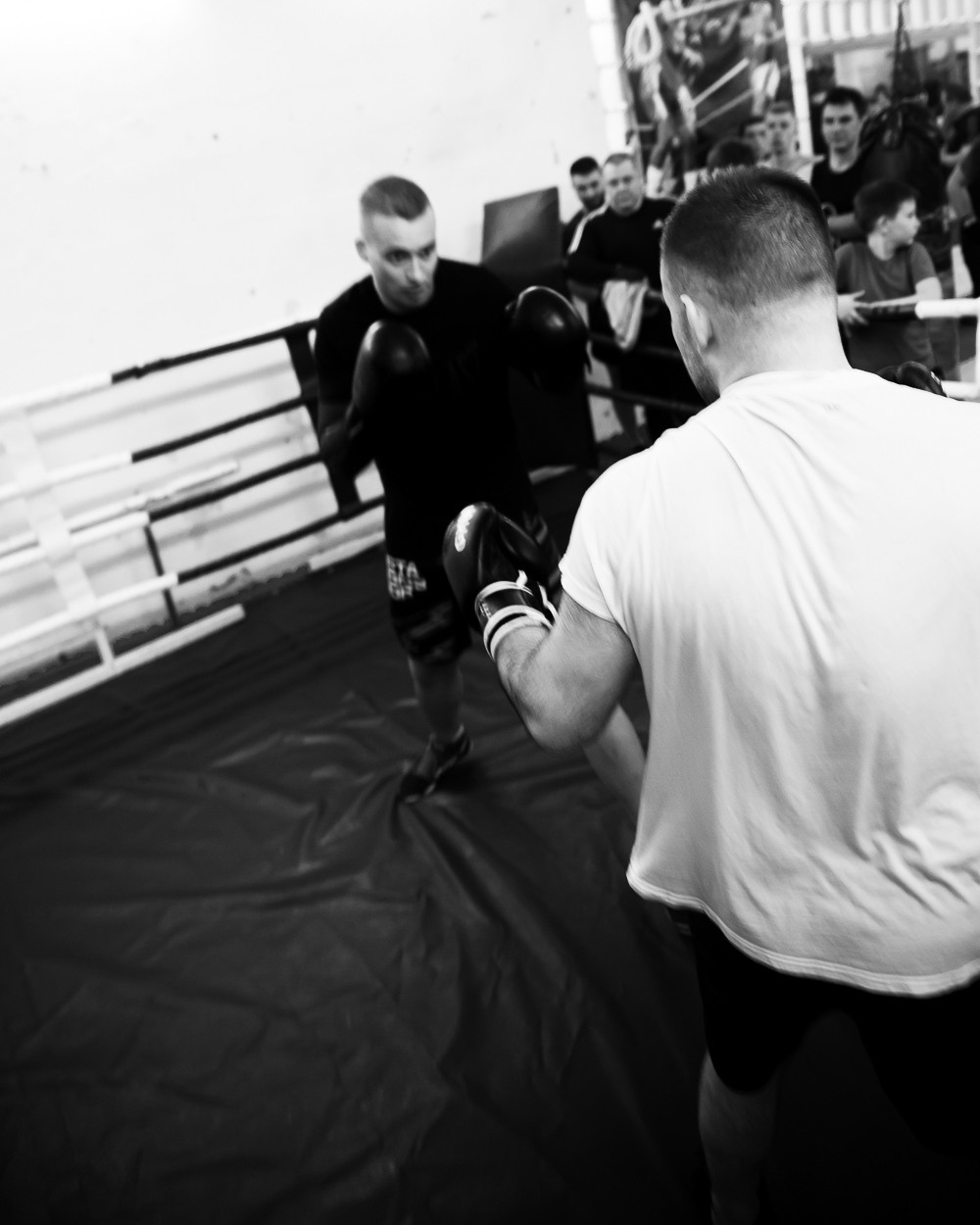 Репортаж тренировки по боксу. Портретный фотограф в Великом Новгороде Виктор Миронов