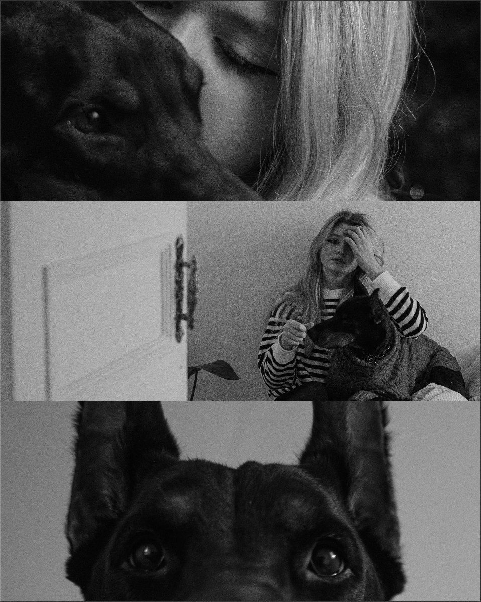 Саша и Асти. Фотограф анималист в Москве и Санкт-Петербурге Свиридова Анна